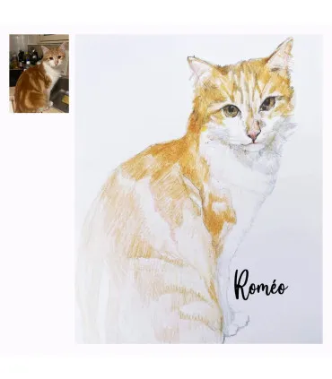 portrait chat dessin crayon feutre