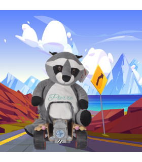 raton laveur peluche