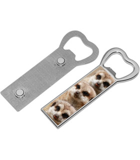 decapsuleur metal personnalise