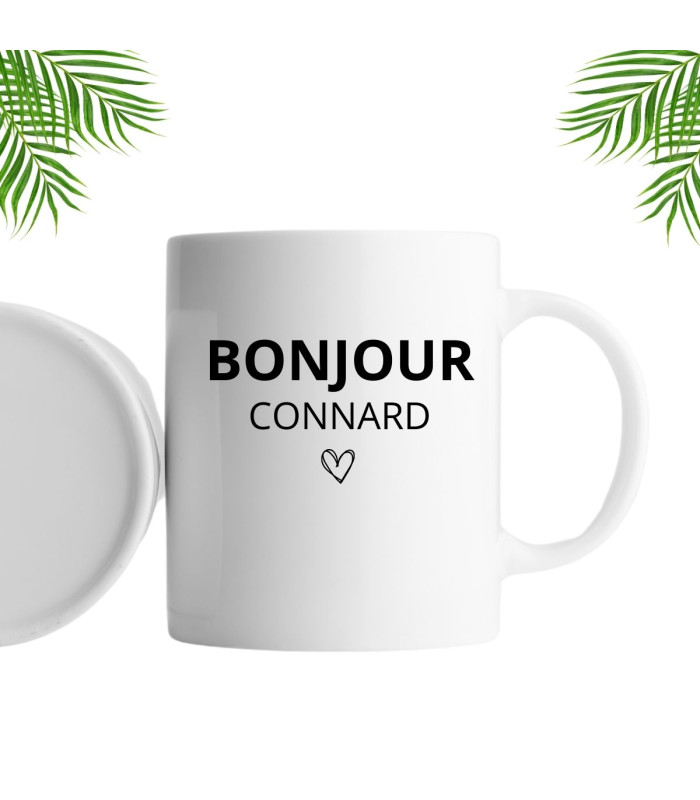 Mug rigolo bonjour connard