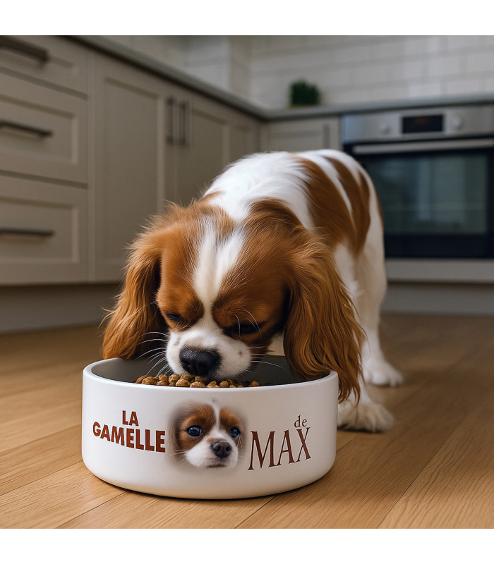 Gamelle chien personnalisée