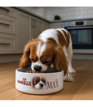 gamelle personnalisée pour chien ou chat