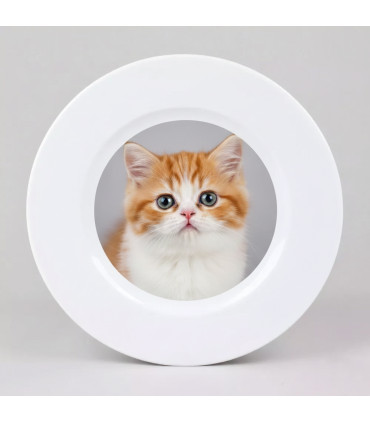 assiette personnalisée avec une photo