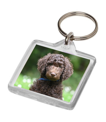 porte cle plastique carre personnalisable