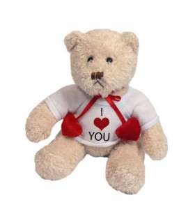 Peluche ours blanc avec personnalisation tee shirt