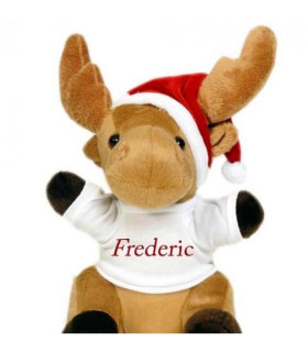 Cadeau personnalisé pour enfant, tee shirt peluche renne avec photo
