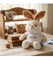 Peluche Lapin Personnalisable – T-shirt Photo & Texte (33 cm)