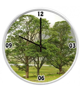 Belle horloge avec comme décor un paysage de campagne