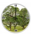 Horloge photo   arbres et nature