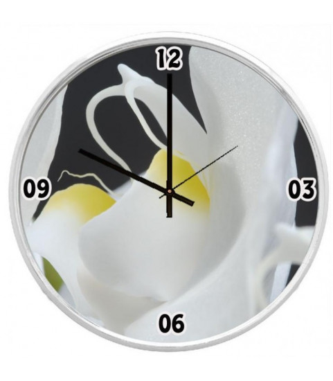 Belle orchidée en photo sur une horloge