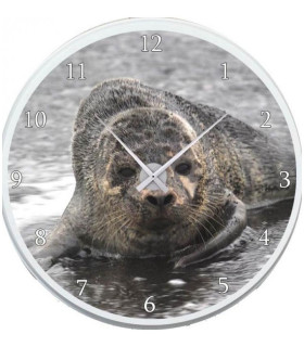horloge phoque