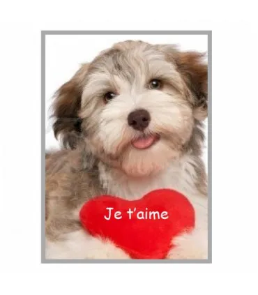 Photo sur magnet, magnet autocollant pas cher
