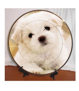 Assiette personnalisée avec photo