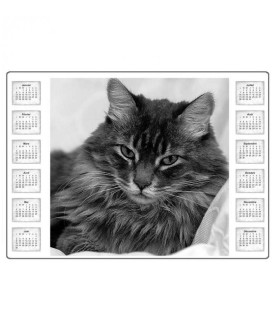 Tapis de souris personnalisé avec calendrier