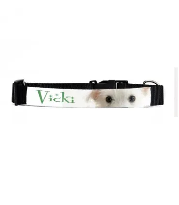 Collier personnalisé chien ou chat