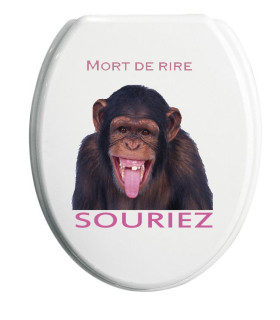 Le sticker wc rigolo singe
