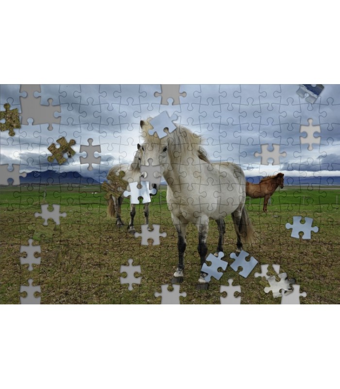 Puzzle photo cheval