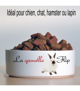 Cadeau Personnalise Pour Animal De Compagnie Cadeau Chien O