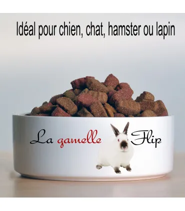 gamelle pour chien chat personnalisée