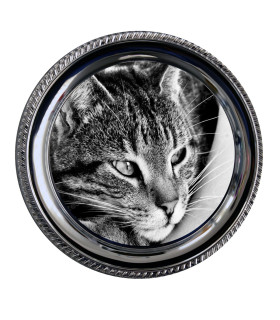 Assiette metal ronde 25 cms avec photo