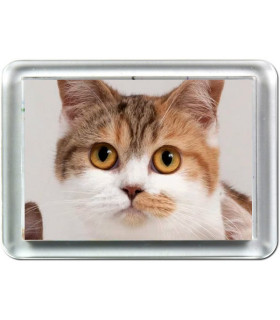 magnet personnalisé avec photo