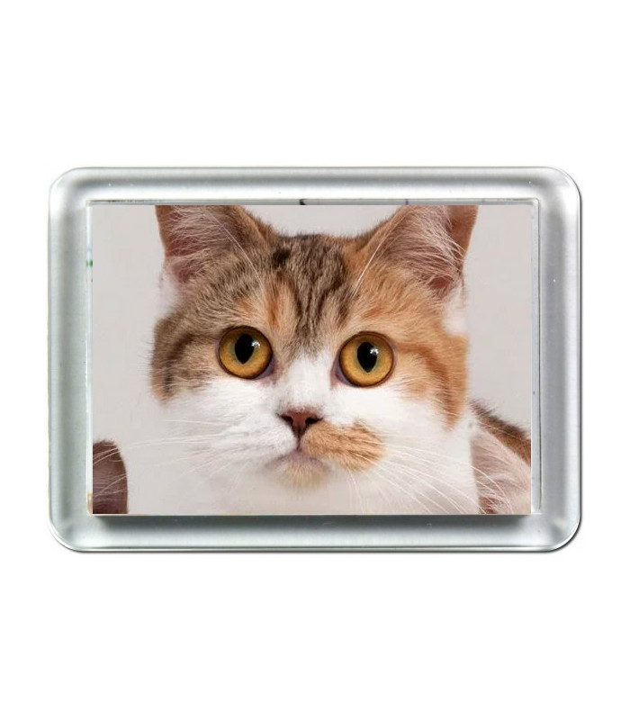 Magnet Photo Plastique Rectangulaire Personnalisé - 5x7 cm
