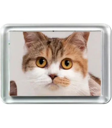 magnet personnalisé avec photo