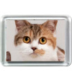 Magnet Photo Plastique Rectangulaire Personnalisé - 5x7 cm