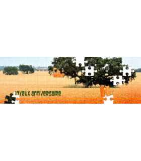 Puzzle anniversaire panoramique