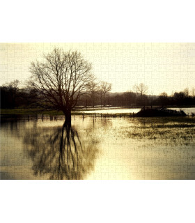 Puzzle paysage campagne