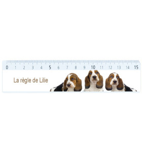 Règle personnalisée avec photo