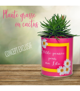 Plante cactus modele lilie