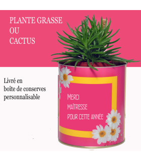 Plante cactus modele lilie