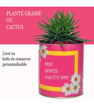 Plante cactus modele lilie