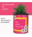 Plante cactus maitresse
