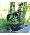 Oiseau Décoratif à Planter en Plexiglas Noir