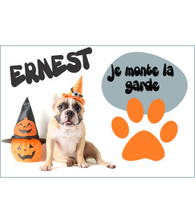 plaque attention au chien