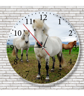 horloge cheval islandais