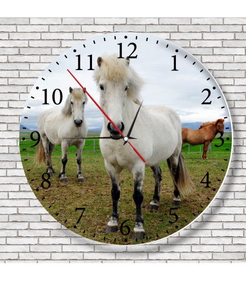 horloge cheval islandais