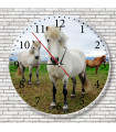Horloge cheval islandais