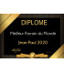 diplome professionnel