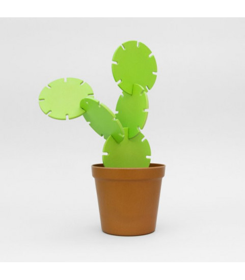 sous verre cactus