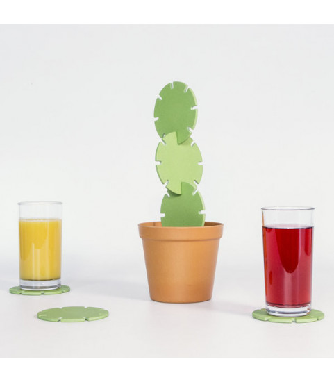 cactus en sous verre