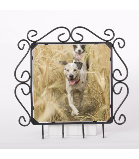 porte cle mural photo