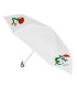 petit parapluie photo