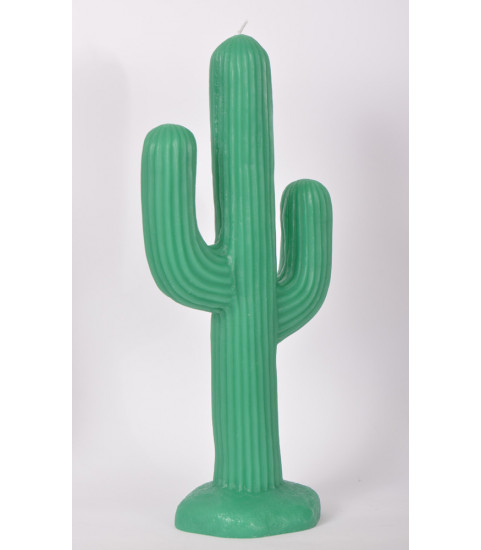 bougie tropicale cactus geante