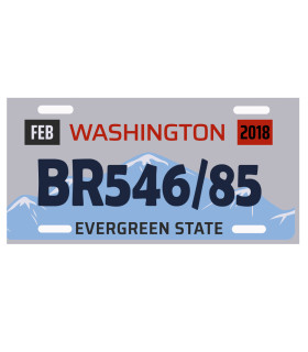 plaque immatriculation usa washington