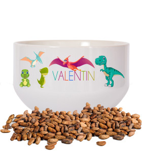 bol enfant dinosaure