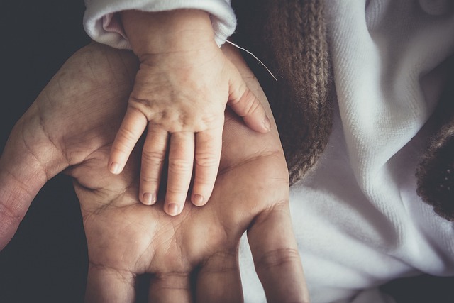 papa et enfant se donnent la main